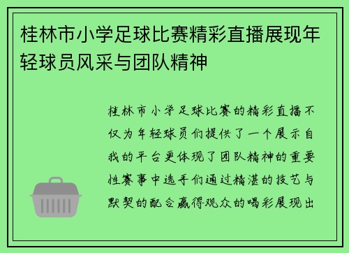 桂林市小学足球比赛精彩直播展现年轻球员风采与团队精神
